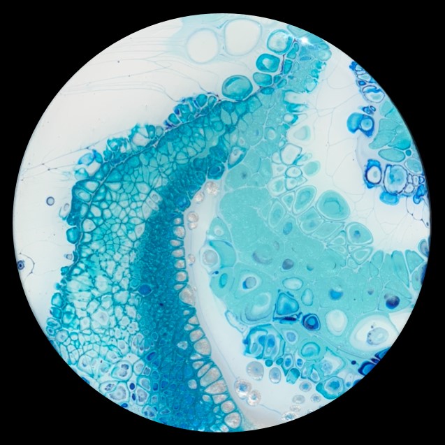 Bubble Bath 1 Fluid Art Coaster