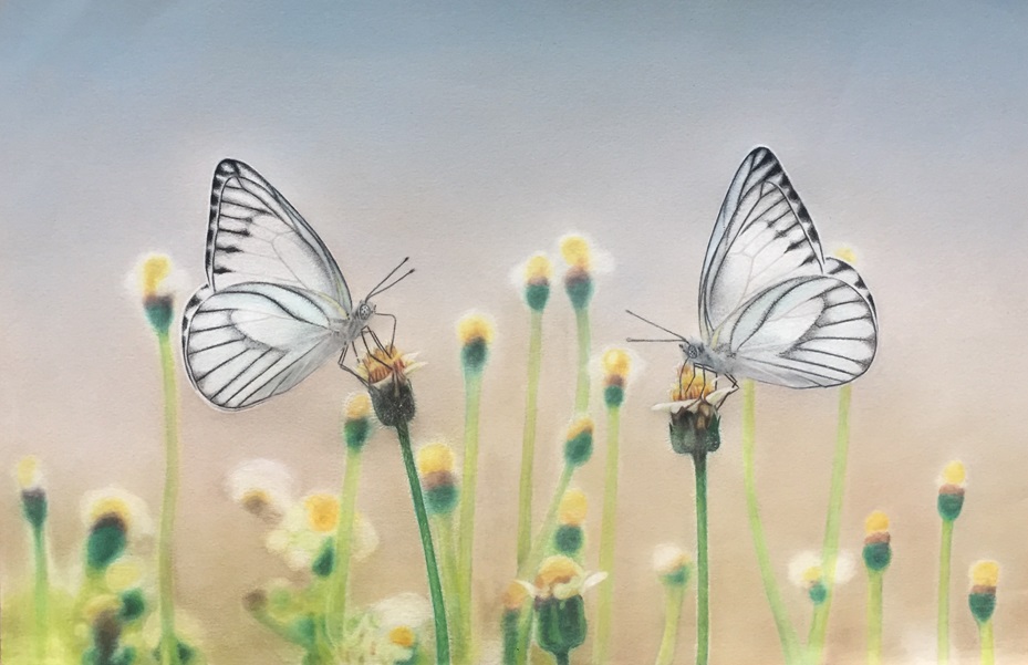 Tranquility Colored Pencil Drawing
